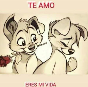 Meet your Posher, Joana